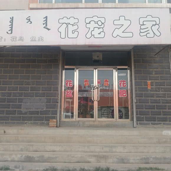 花宠之家:呼和浩特市