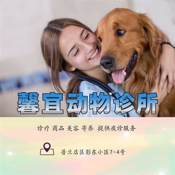 馨宜动物诊所(普兰店):大连市
