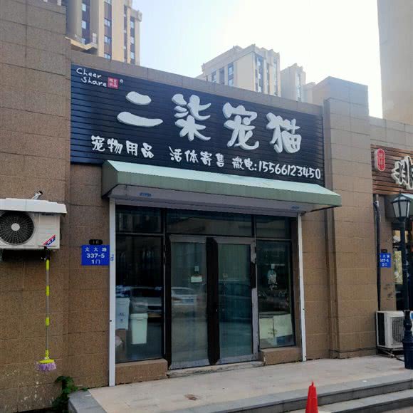 二柒宠猫:沈阳市沈北新区沈阳师范大学附近