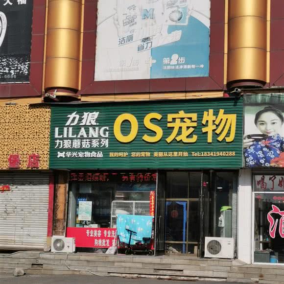 os宠物:辽阳市