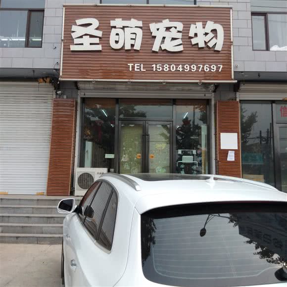 圣萌宠物:辽阳市
