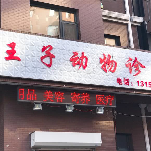 王子动物诊所:长春市
