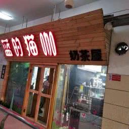 蓝的猫咖:沈阳市沈北新区沈阳师范大学附近