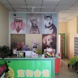 噢哩宠物店:齐齐哈尔市