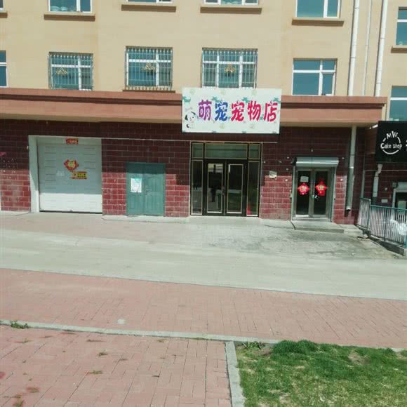 萌宠宠物店:鸡西市