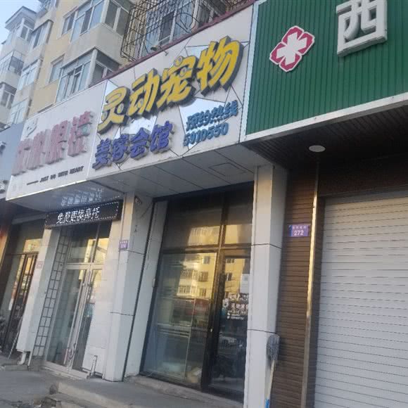 灵动宠物美容会馆:牡丹江市