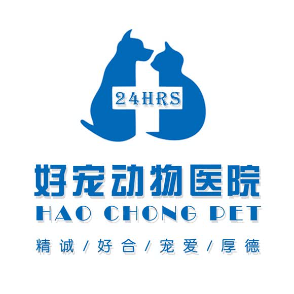 24小时好宠物动物医院:沈阳市沈北新区沈阳师范大学附近