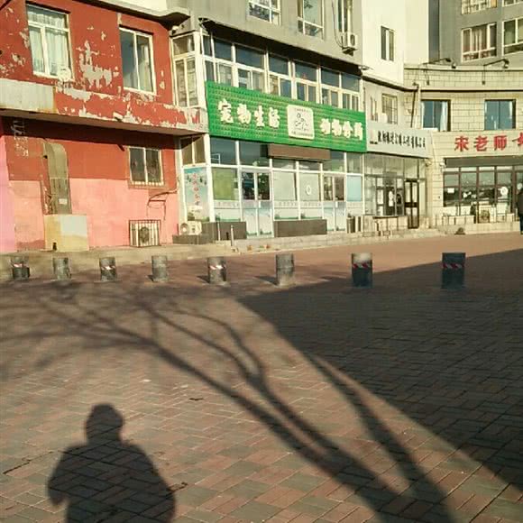 宠物生活:沈阳市沈北新区新城子附近