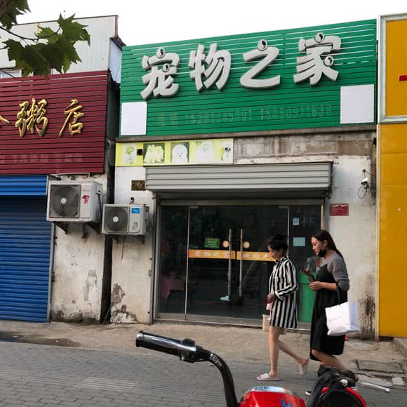 宠物之家:连云港市