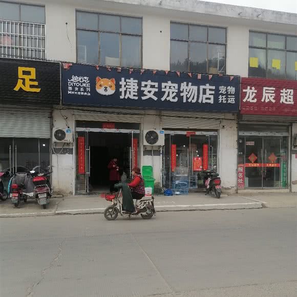 灌云捷安宠物托运:连云港市