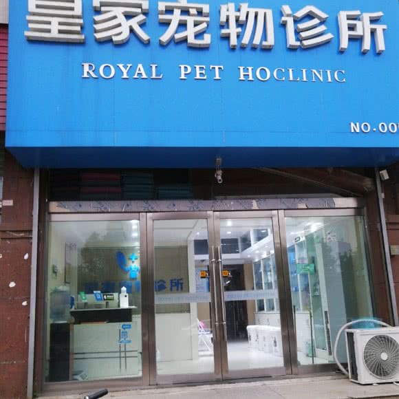 皇家宠物诊所(NO.001):连云港市