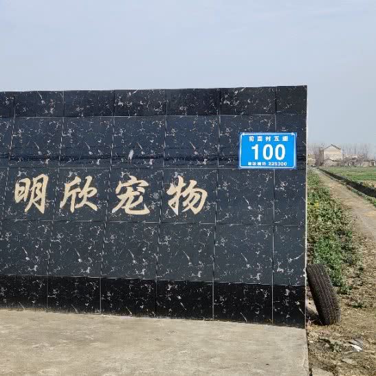 明欣宠物:泰州市