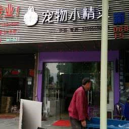 宠物小精灵:杭州市