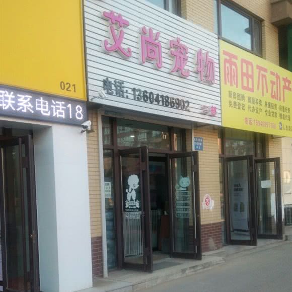 艾尚宠物狗:沈阳市沈北新区道义附近