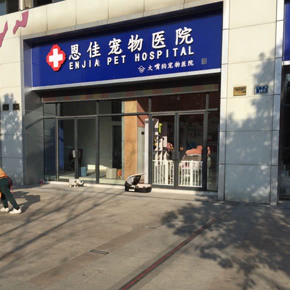 恩佳宠物医院:杭州市