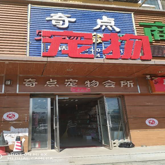 奇点宠物会所:沈阳市沈北新区道义附近