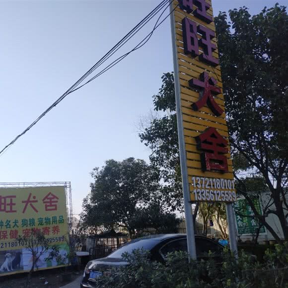 旺旺犬舍:温州市