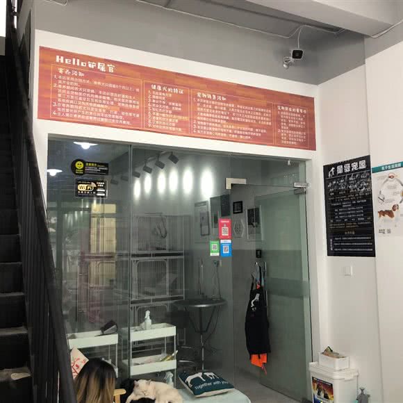 星级宠屋:嘉兴市