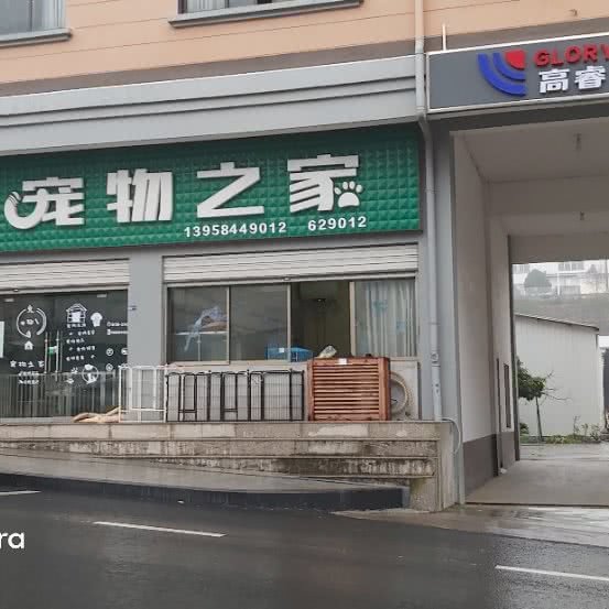 宠物之十家:金华市