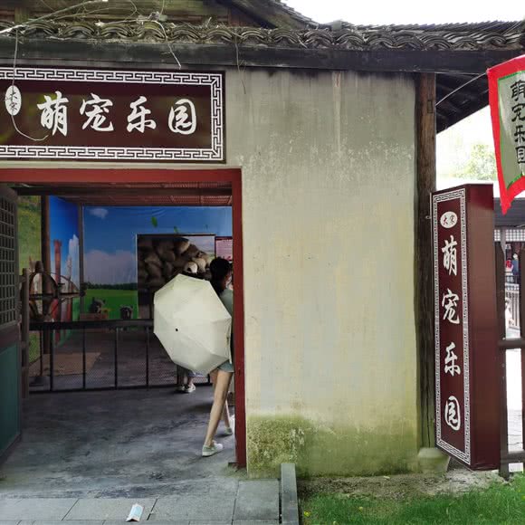 大宋萌宠乐园:金华市