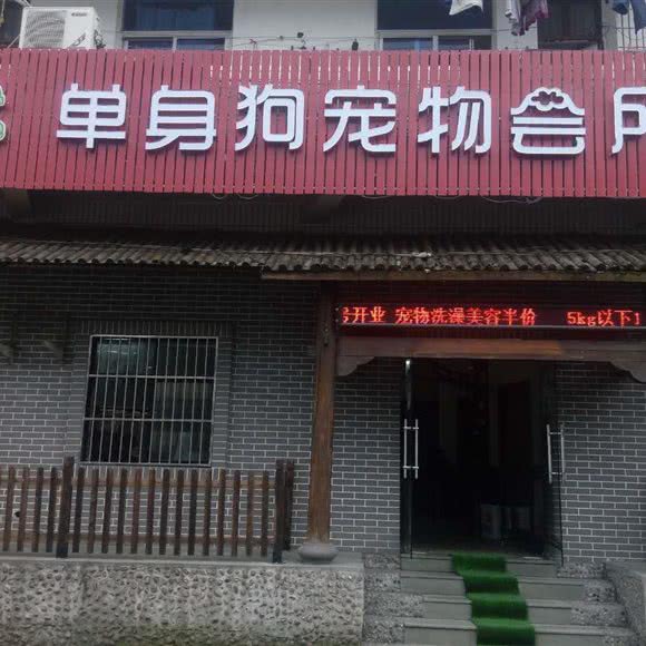 私宠宠物店:金华市