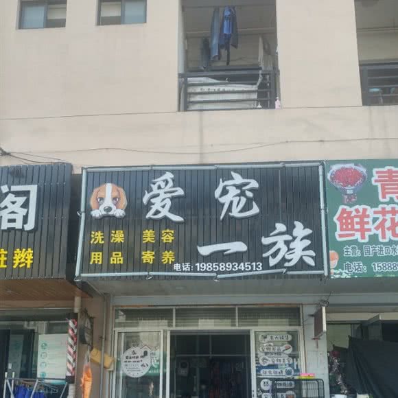 爱宠一族:金华市
