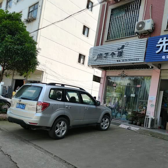喵了个汪:金华市