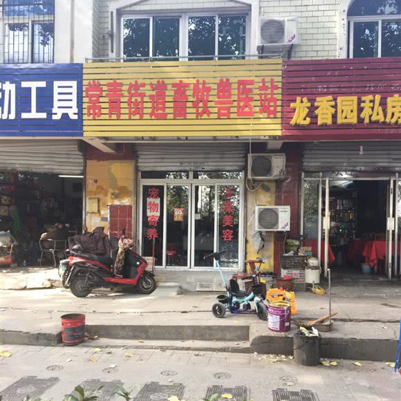 常青街道畜牧兽医站:合肥市
