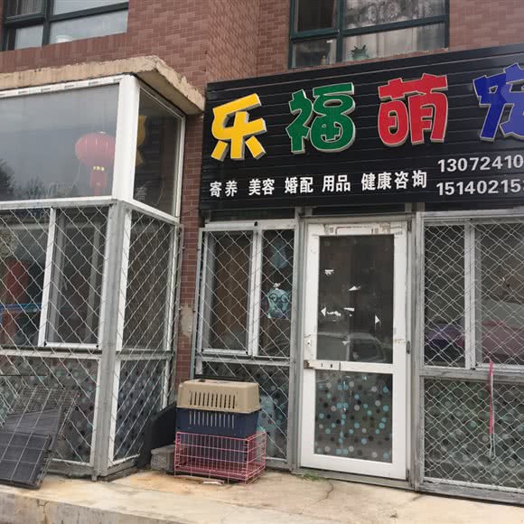 乐福萌宠:沈阳市沈北新区虎石台附近