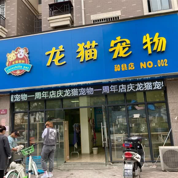 龙猫宠物(和县店):马鞍山市