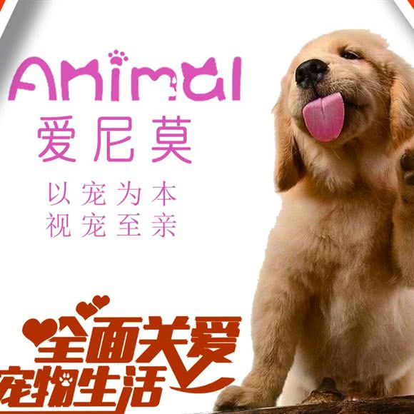 爱尼莫宠物店:北京城区朝阳区十八里店附近