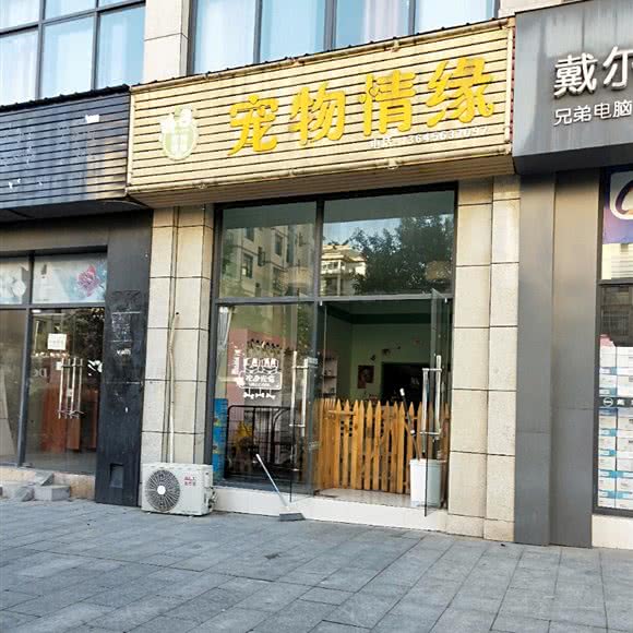 宠物情缘:宣城市