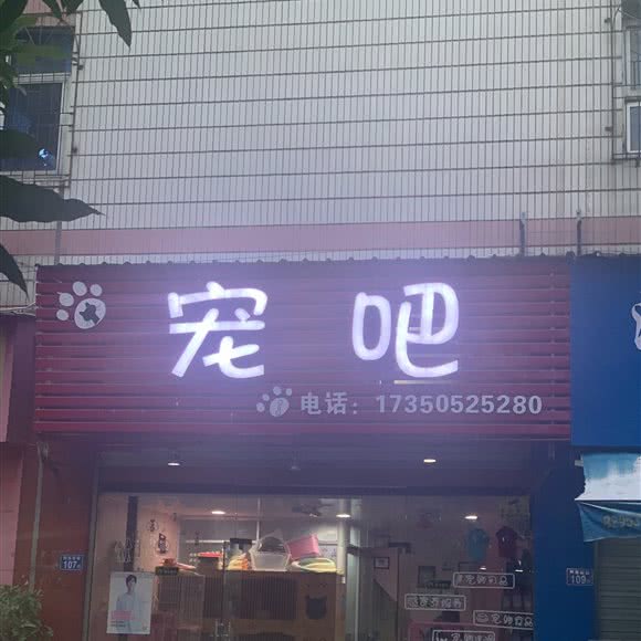 宠吧:三明市