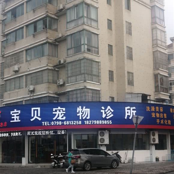 宝贝宠物诊所:景德镇市