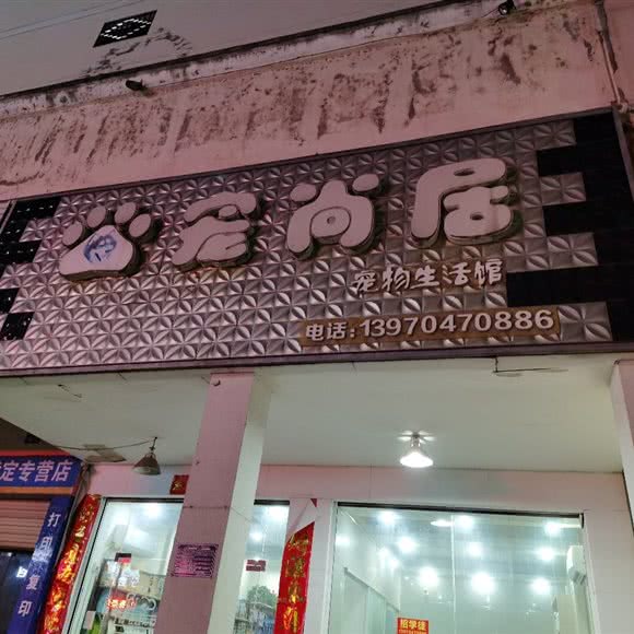 宠尚居宠物生活馆:抚州市