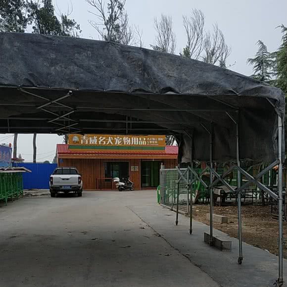 青威宠物用品:青岛市