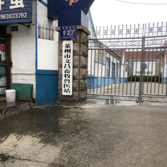 莱州市文昌畜牧兽医站:烟台市