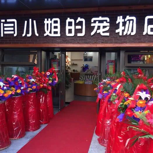 闫小姐的宠物店:沈阳市于洪区于洪广场附近