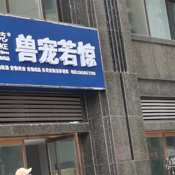 兽宠若惊:济宁市