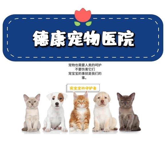 德康宠物医院(白沙店):郑州市