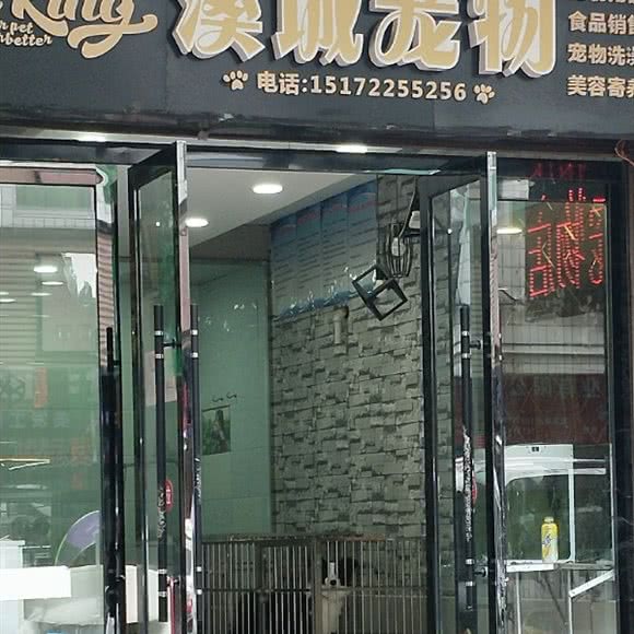 溪城宠物:十堰市