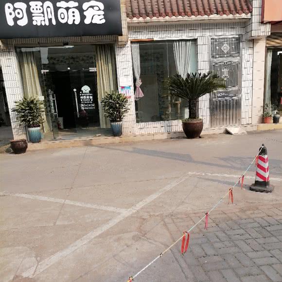 阿飘萌宠:宜昌市