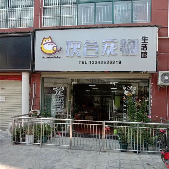 灰谷宠物生活馆:宜昌市