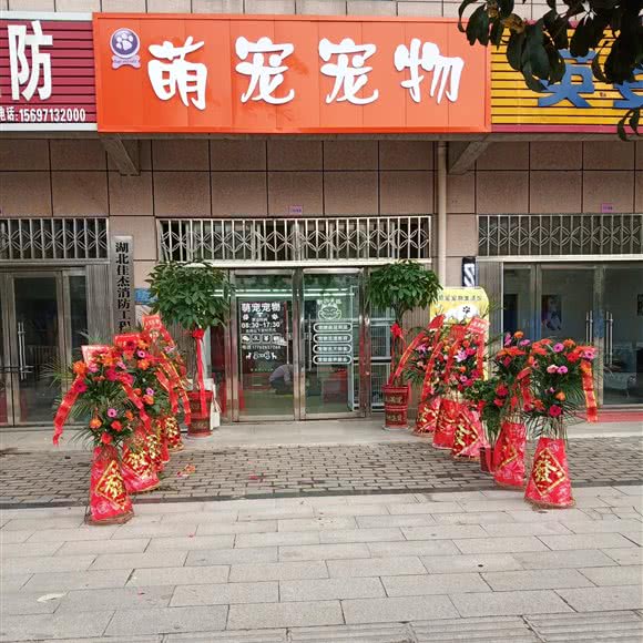 萌宠宠物生活馆:黄冈市