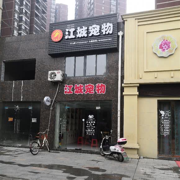 江城宠物:天门市
