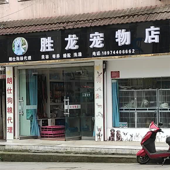 胜龙宠物店:张家界市