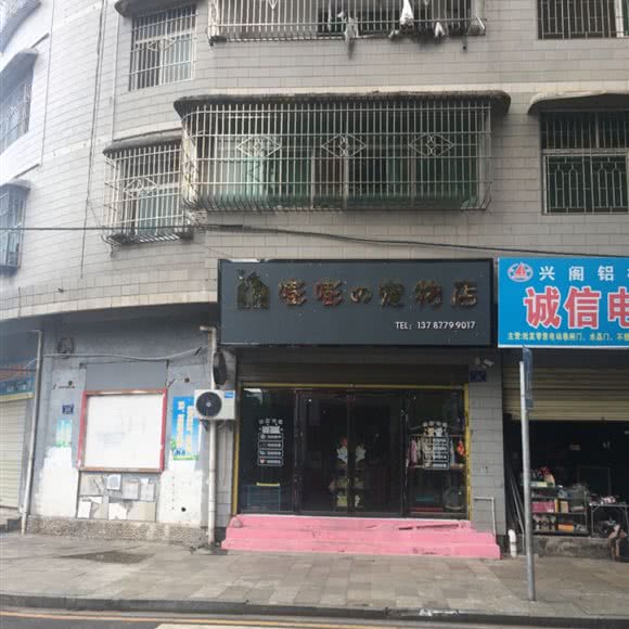 嘭嘭的宠物店:郴州市