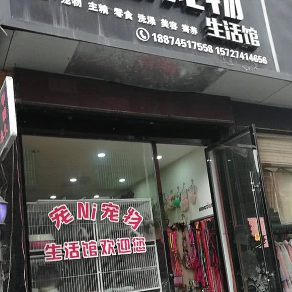 宠你宠物生活馆:怀化市
