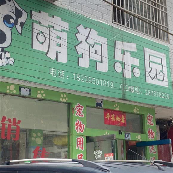 萌狗乐园:湘西土家族苗族自治州