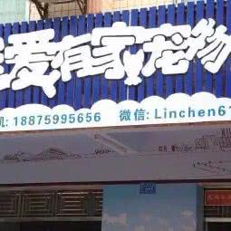 徐闻宠爱有家宠物店:湛江市